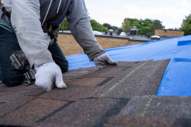 Best Commercial Roofing Services  in Lakeland Highlands, FL
